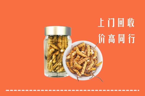 永丰县回收冬虫夏草